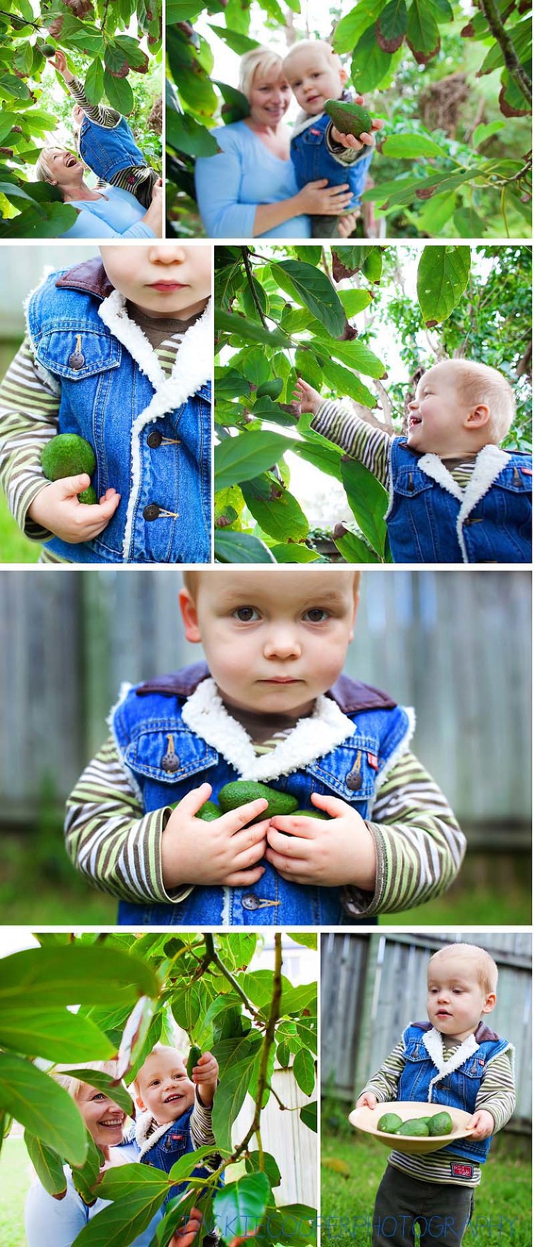 blog_avocado