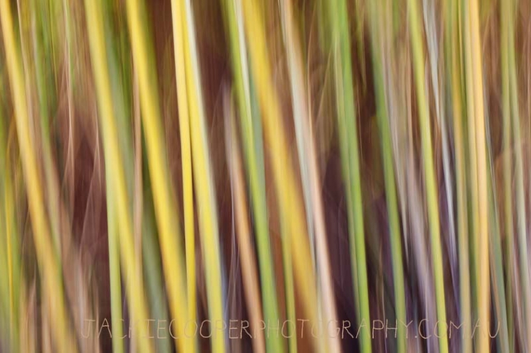 IMG_6314p_w