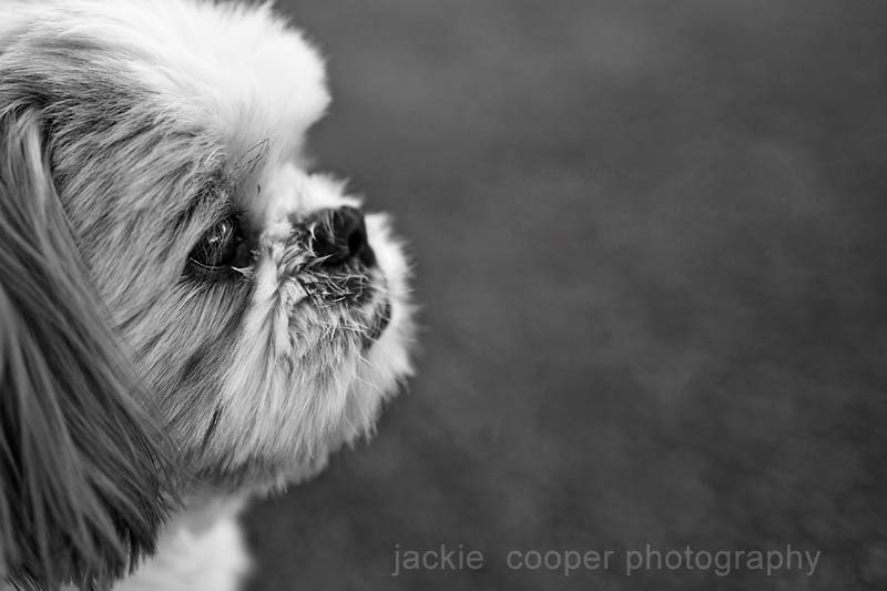 blog00