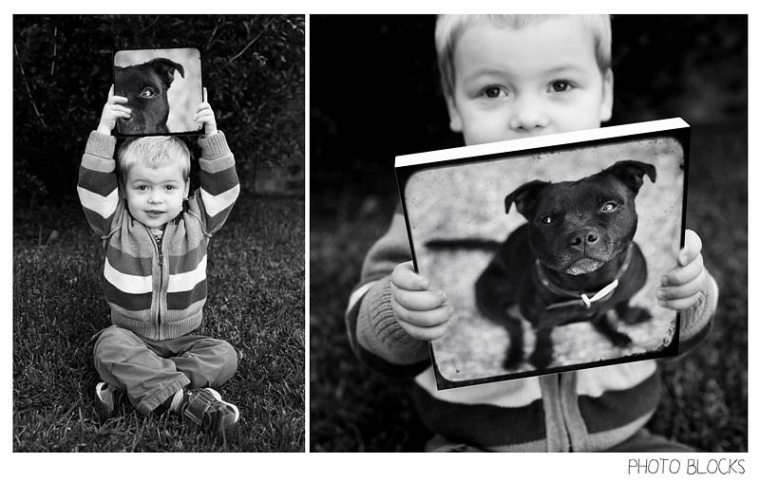 photo blocks of dog