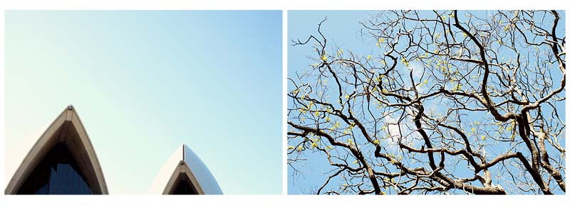 city09