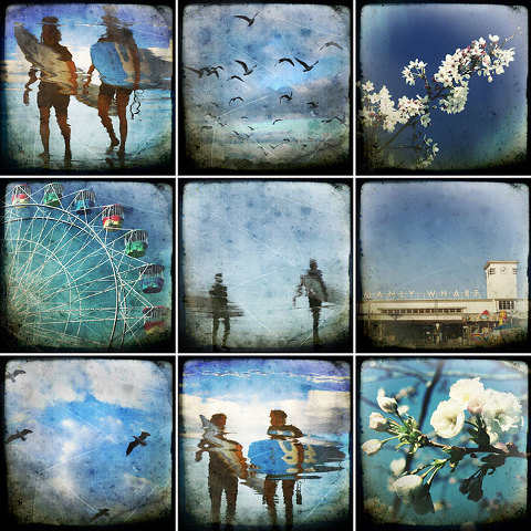 sufers, manly wharf, flowers, ferris wheel