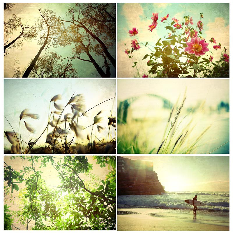 set of 6 prints 02