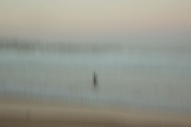 manly beach photos