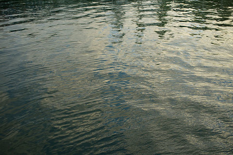 reflections in manly habour