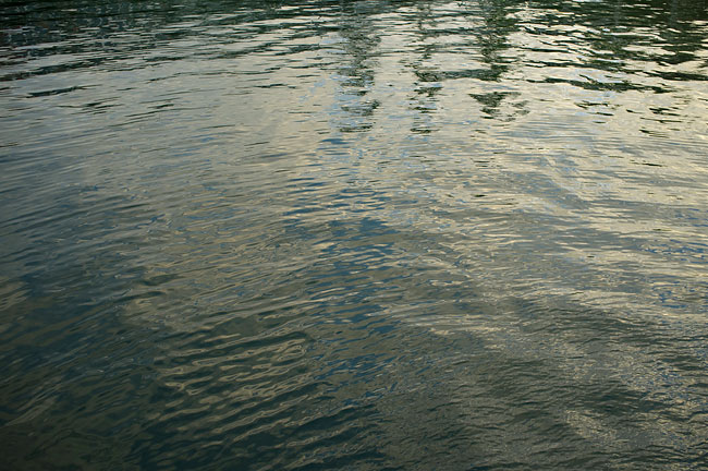 reflections in manly habour