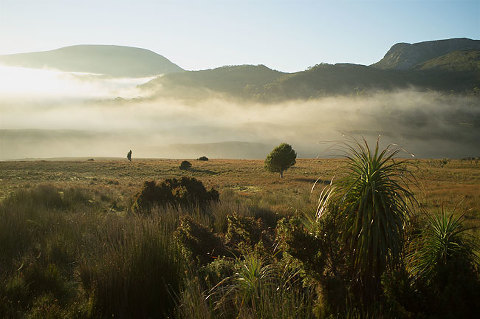 overland track, tasmania - waldheim