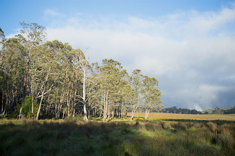overland track, tasmania