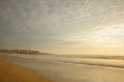 manly beach by jackie cooper photography