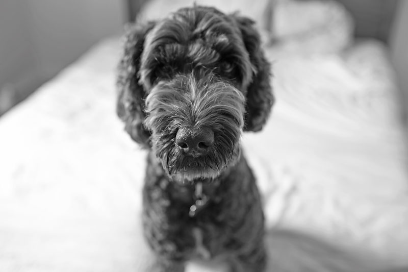 051A0718BW
