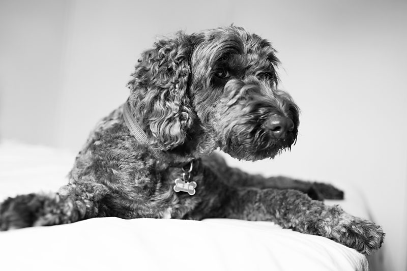 051A0737BW