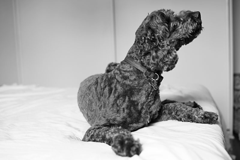 051A0743BW
