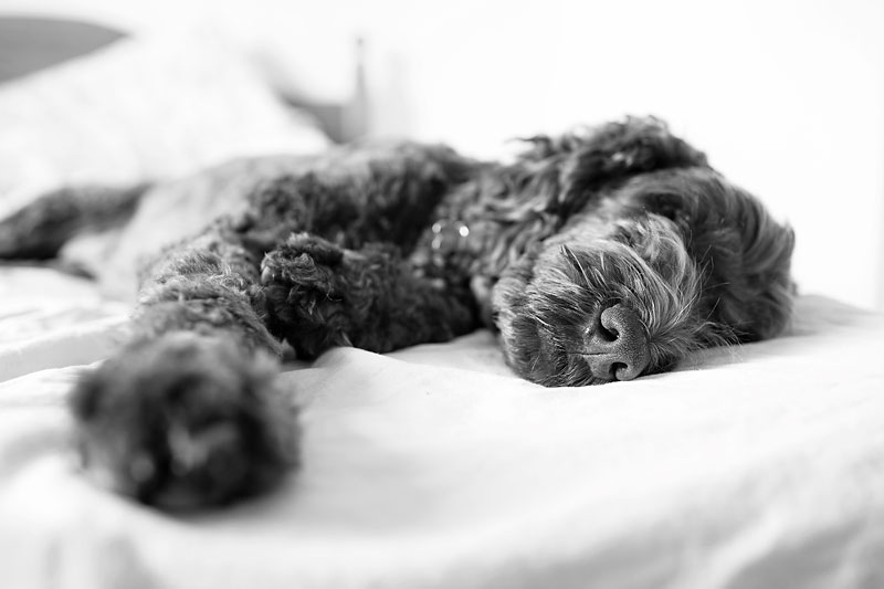 051A0757BW