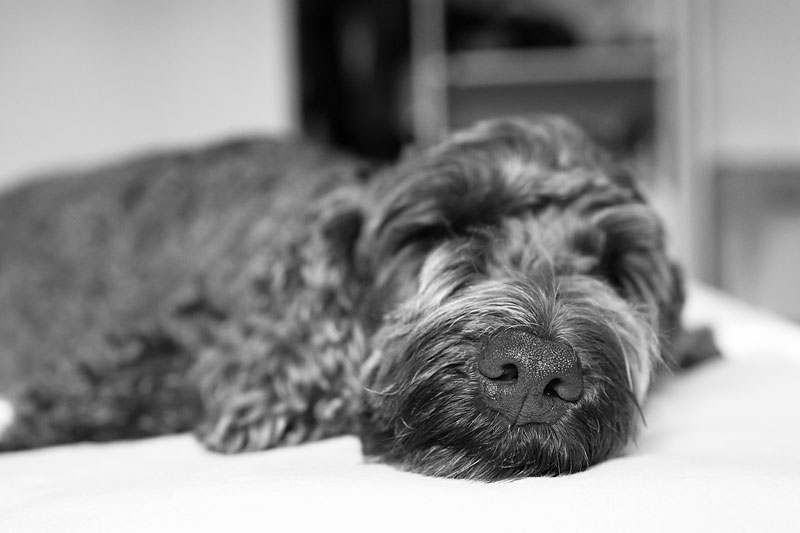 051A0787BW