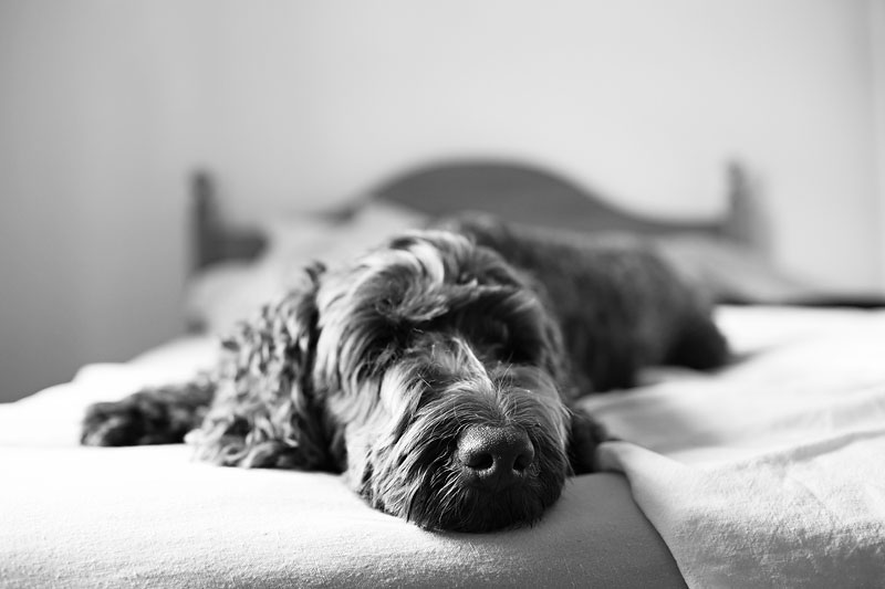 051A0793BW
