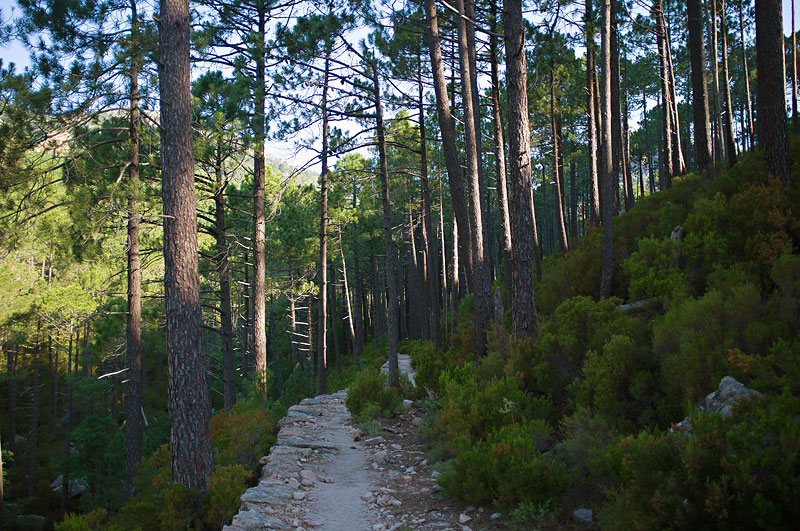 GR20-Day-1-06